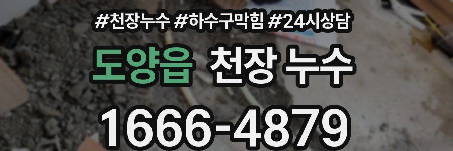 도양읍 천장 누수