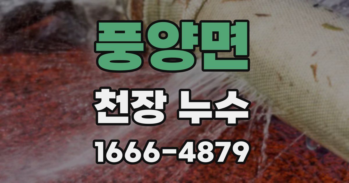 풍양면 천장 누수