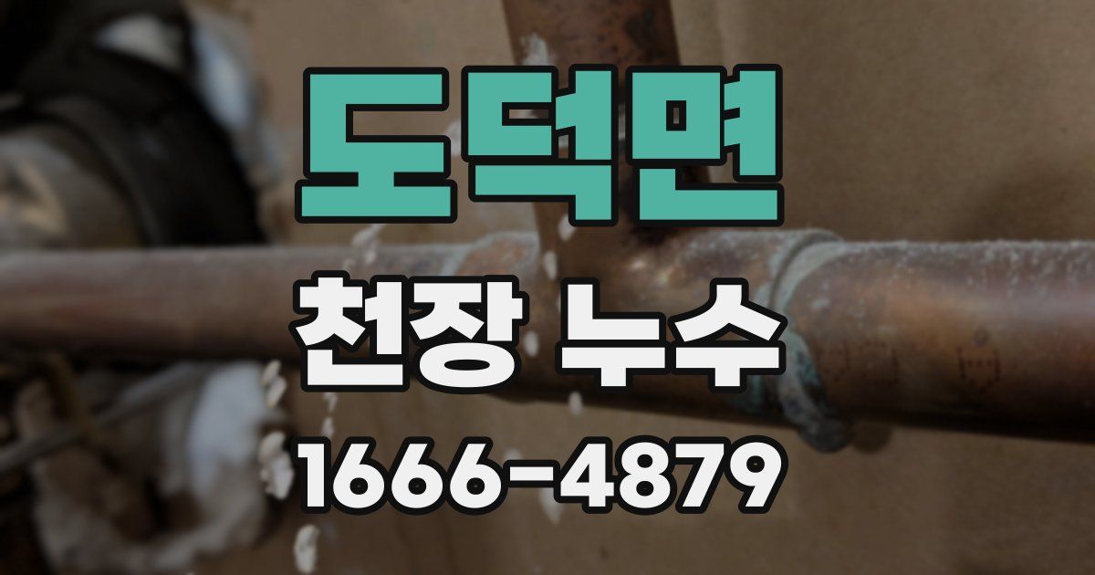 도덕면 천장 누수