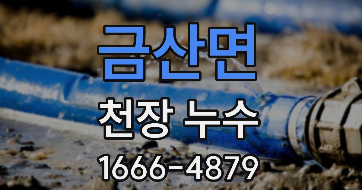 금산면 천장 누수