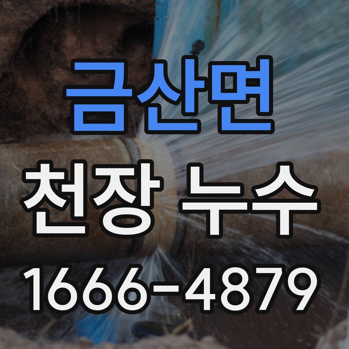 금산면 천장 누수