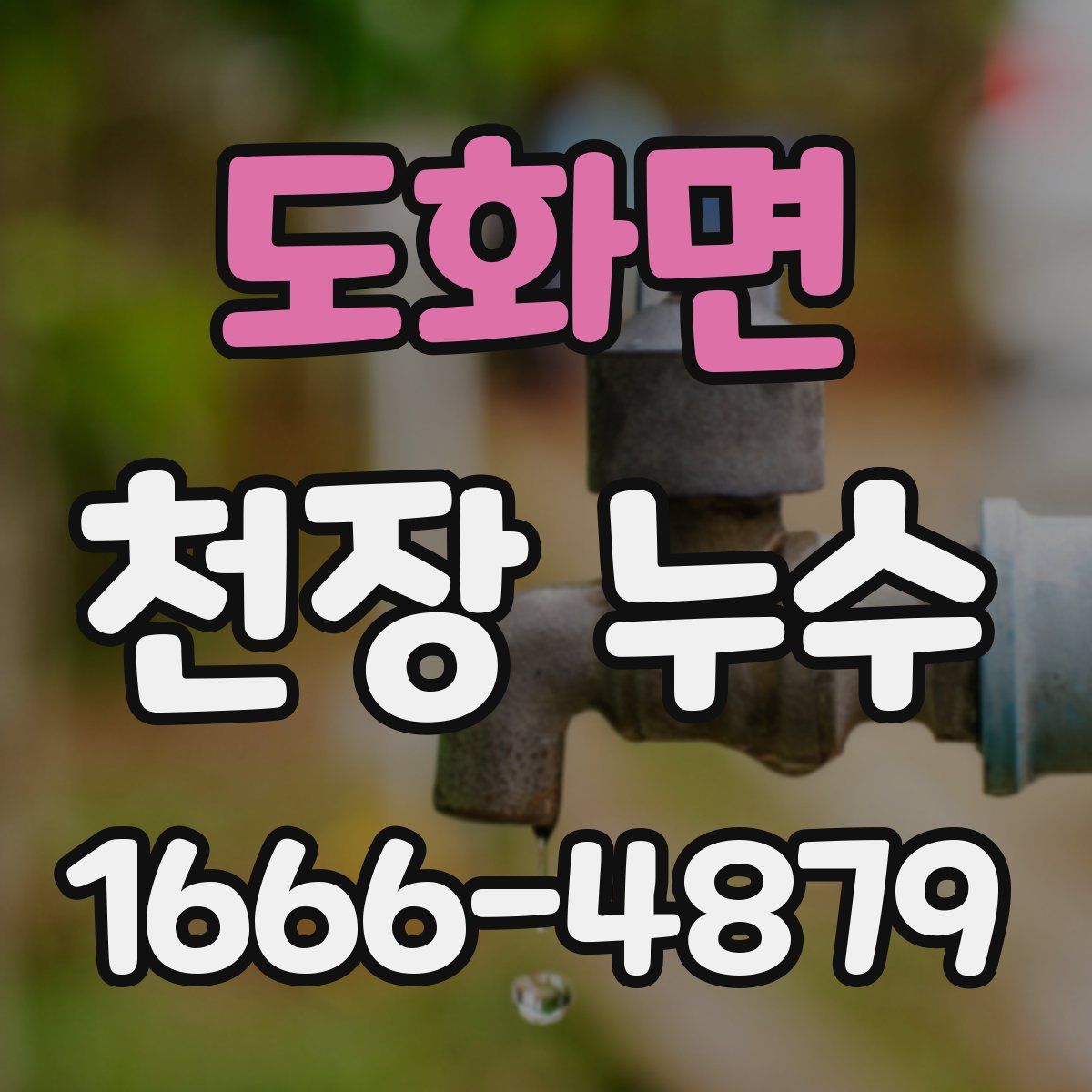 도화면 천장 누수