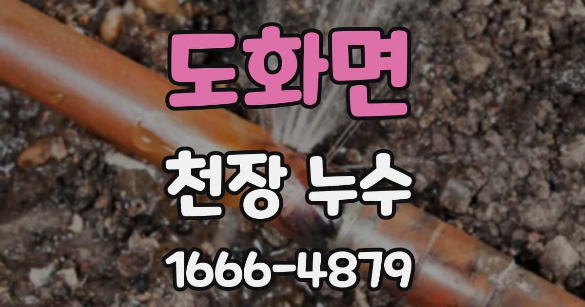 도화면 천장 누수