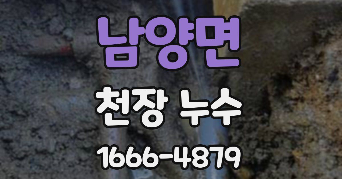 남양면 천장 누수