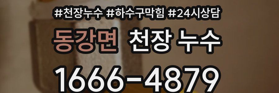 동강면 천장 누수