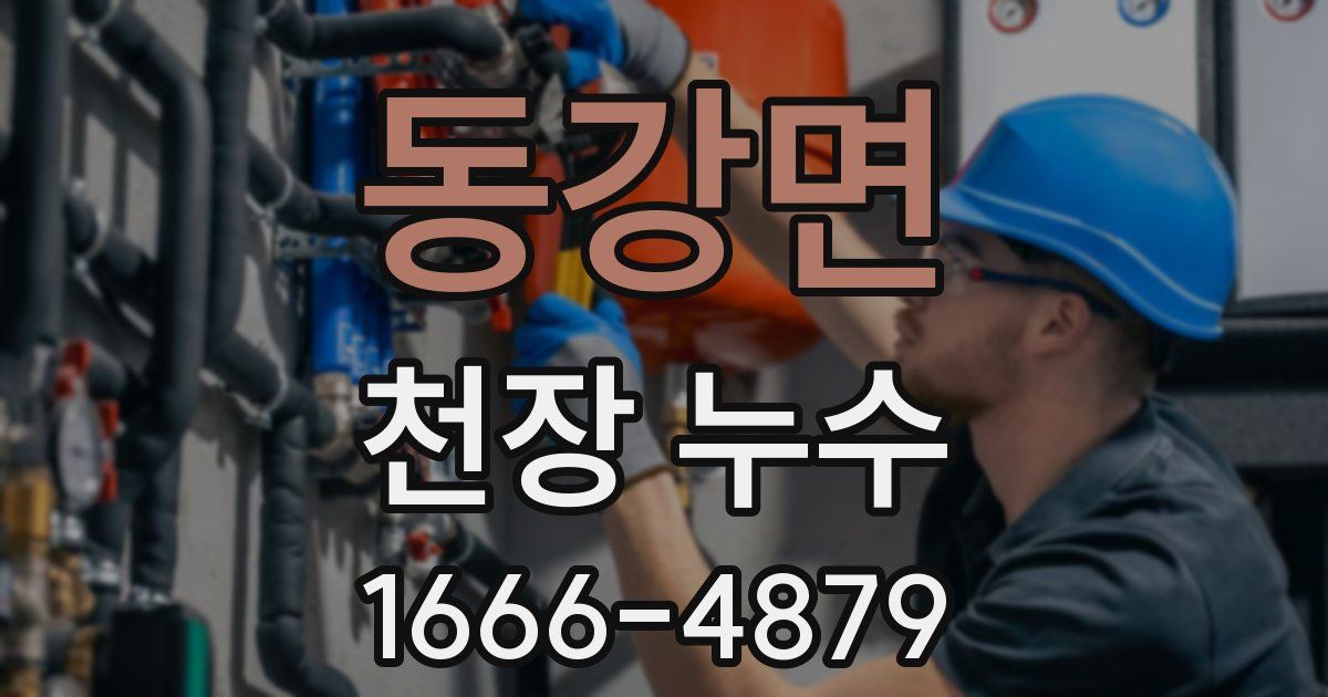 동강면 천장 누수