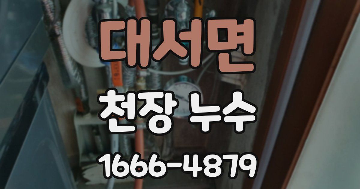 대서면 천장 누수