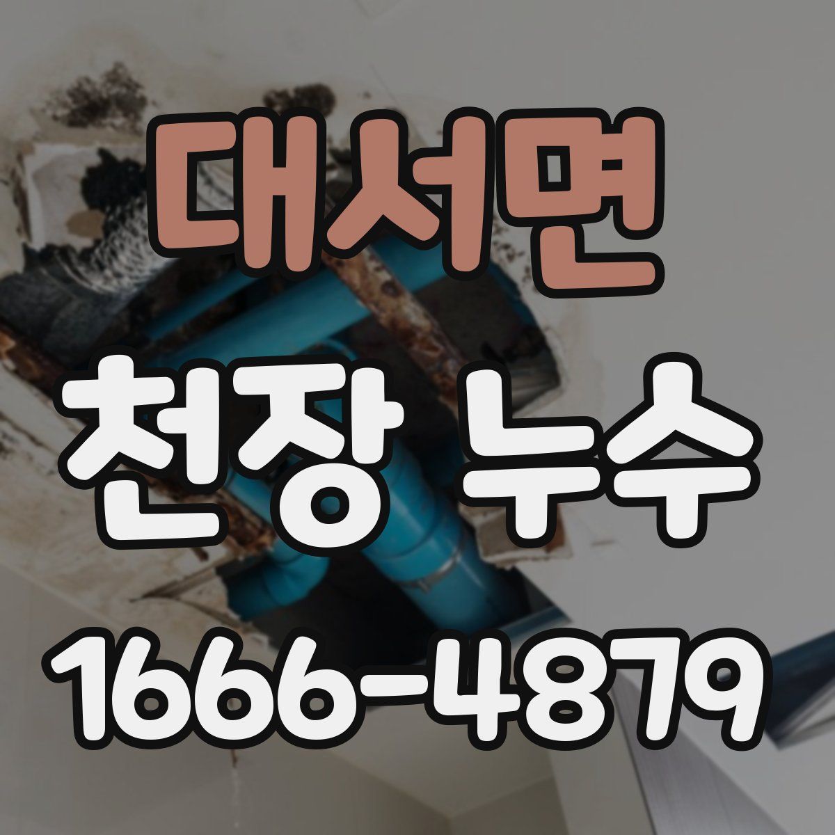 대서면 천장 누수