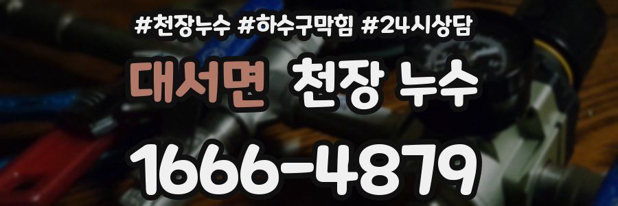 대서면 천장 누수