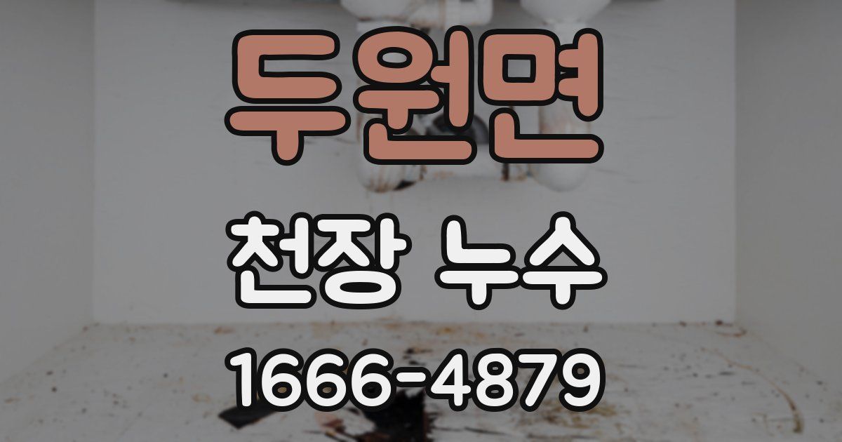 두원면 천장 누수