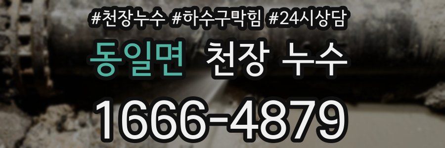 동일면 천장 누수