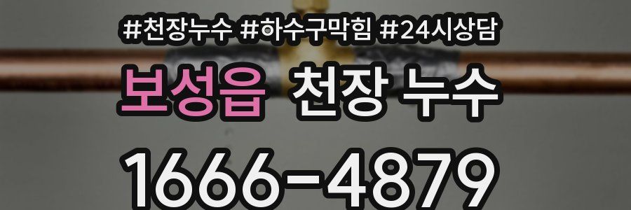 보성읍 천장 누수