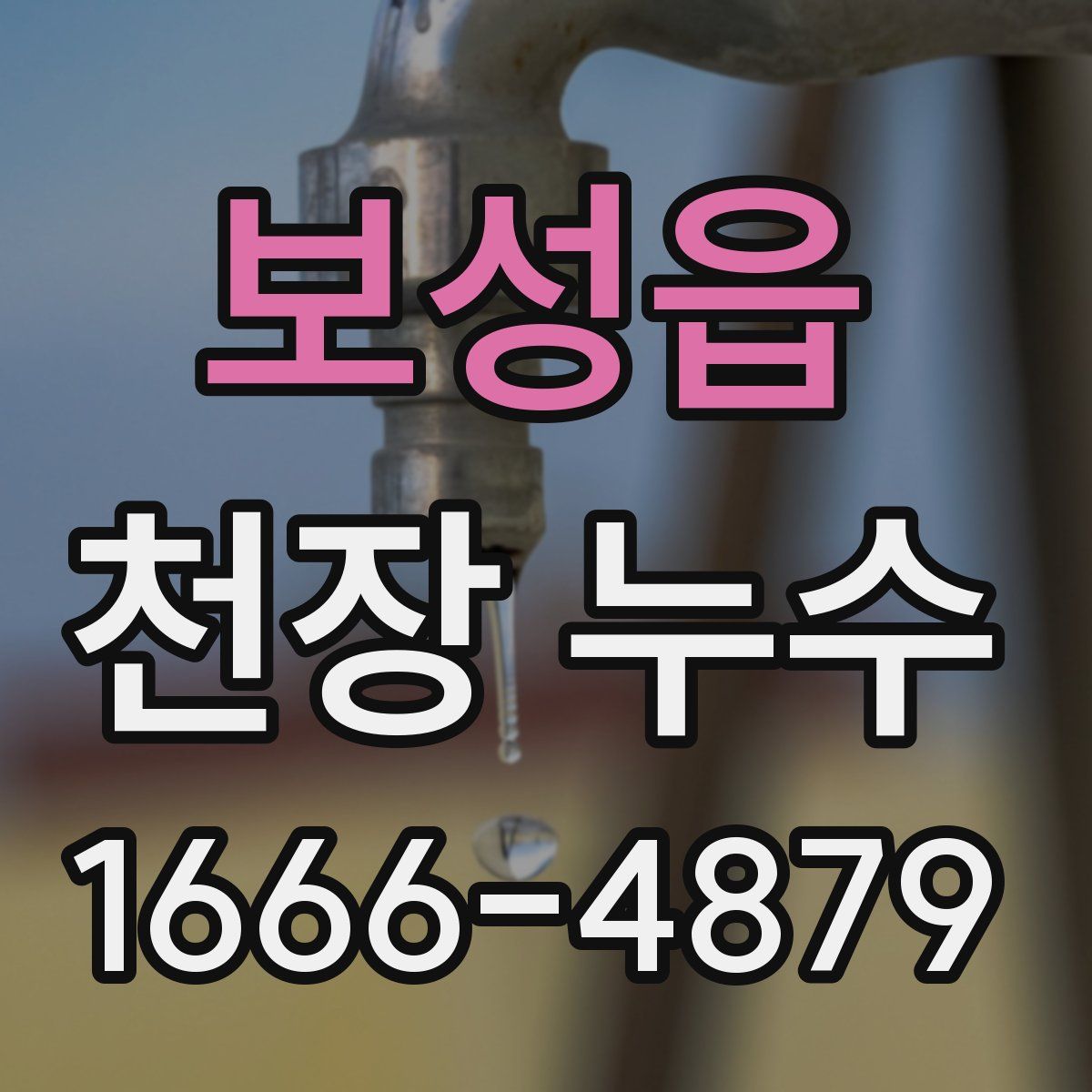 보성읍 천장 누수