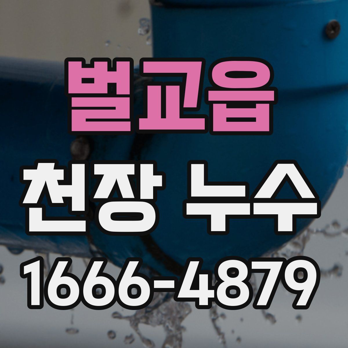 벌교읍 천장 누수