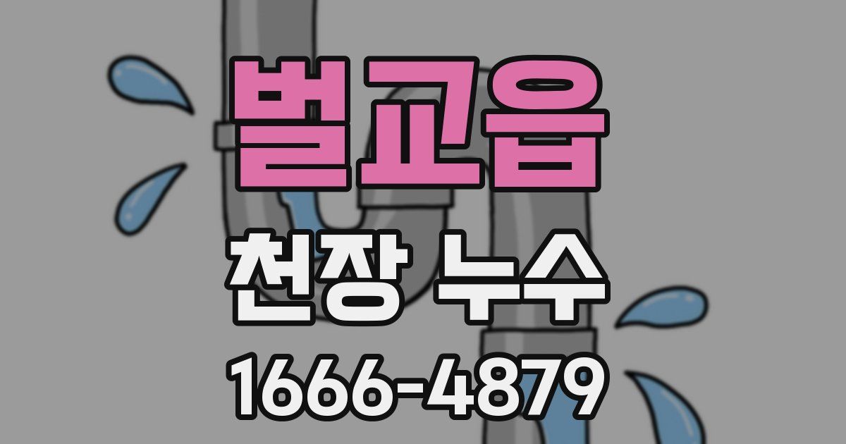 벌교읍 천장 누수