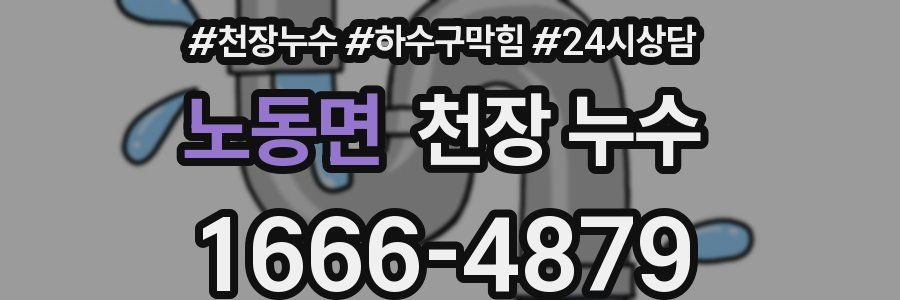 노동면 천장 누수