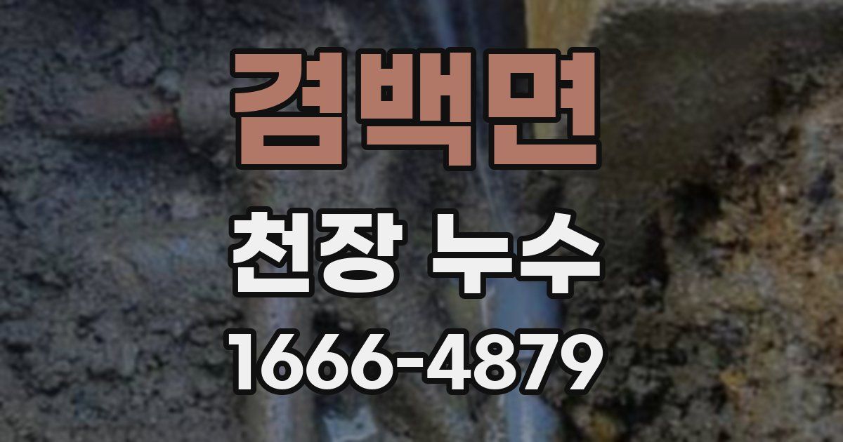 겸백면 천장 누수