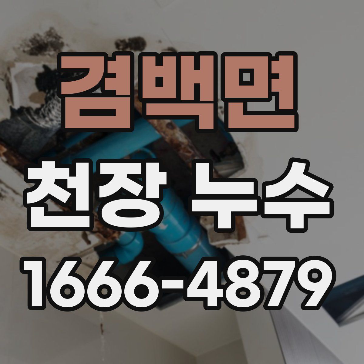 겸백면 천장 누수