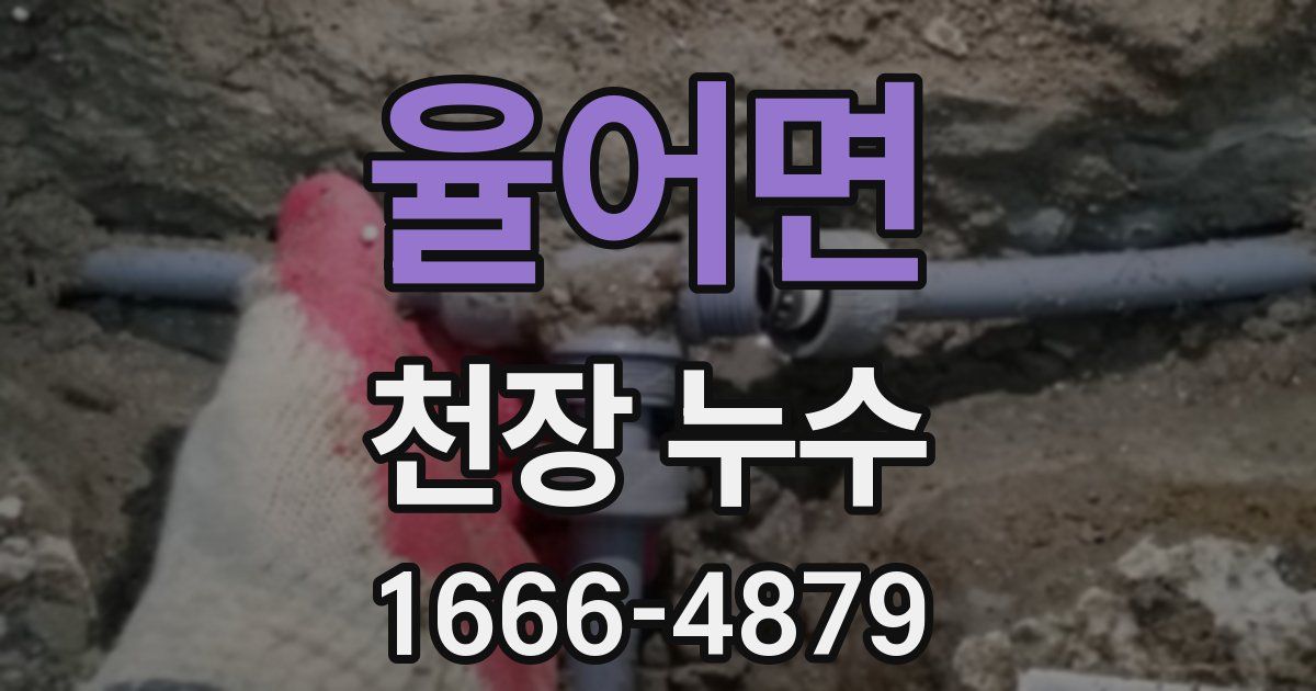 율어면 천장 누수