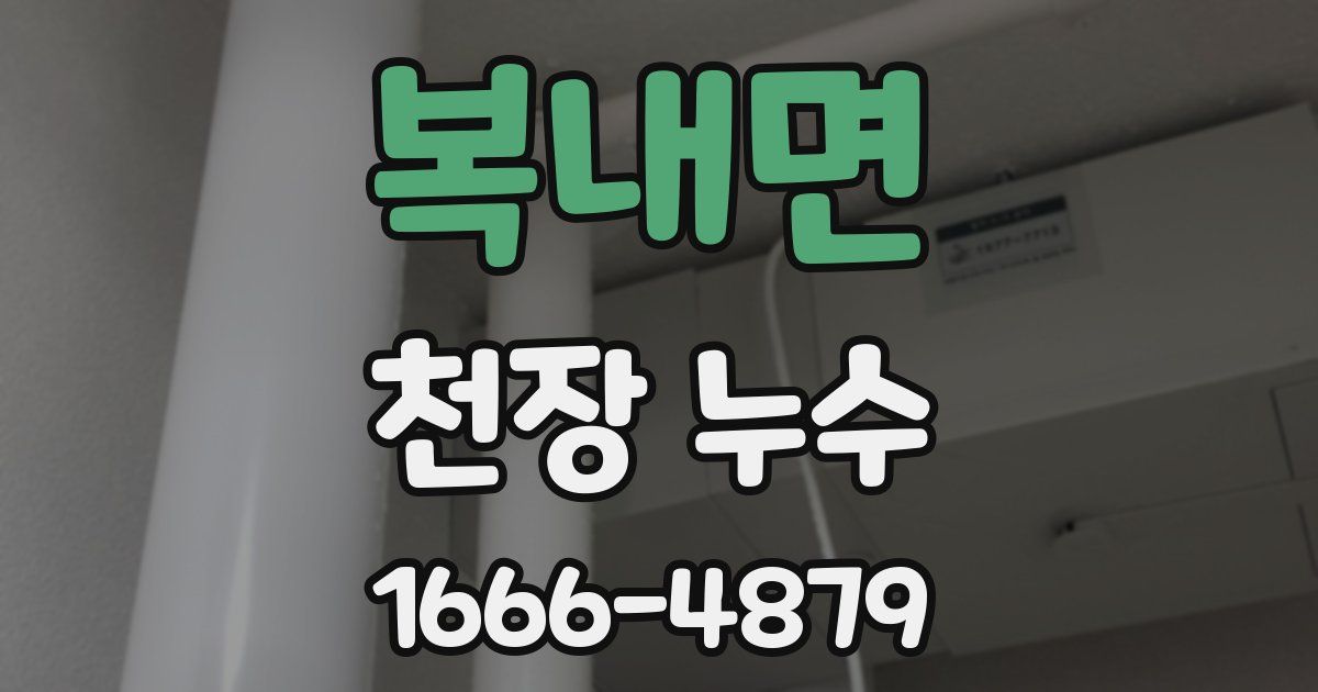 복내면 천장 누수