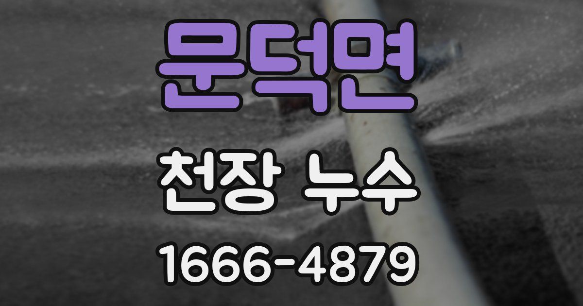 문덕면 천장 누수