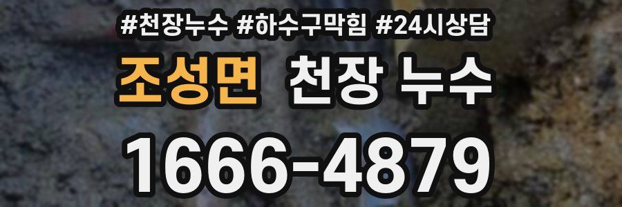 조성면 천장 누수