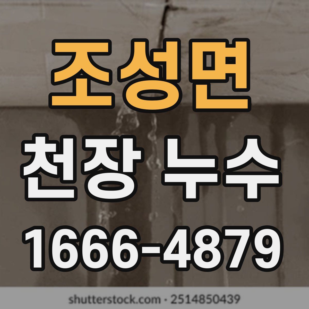 조성면 천장 누수