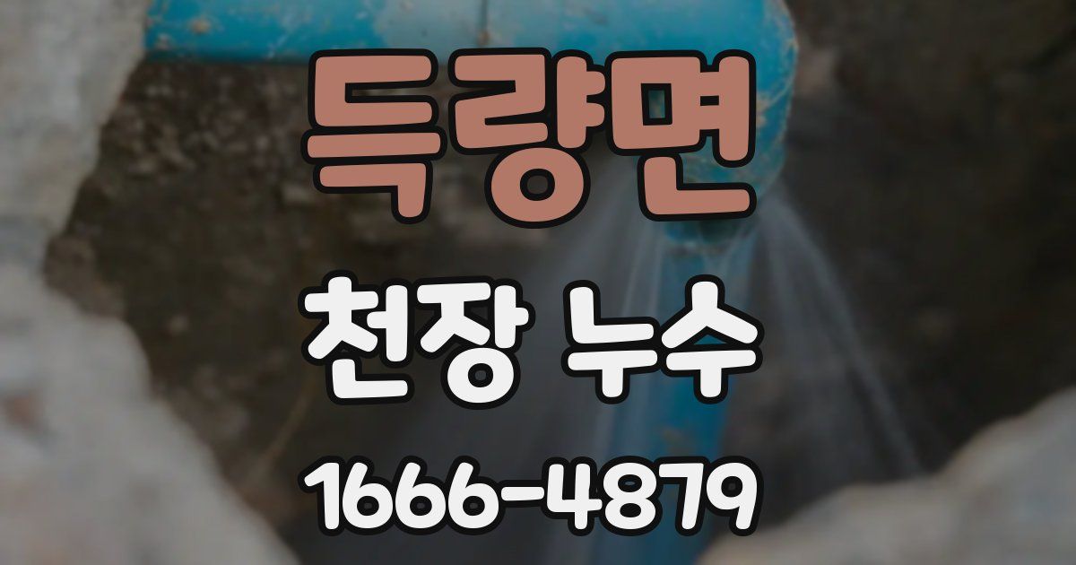 득량면 천장 누수