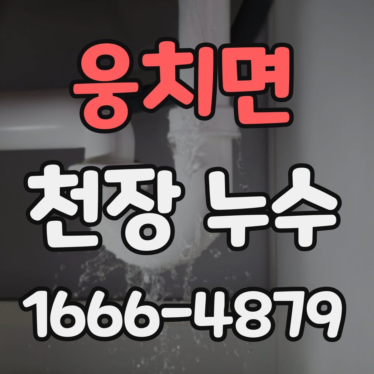 웅치면 천장 누수