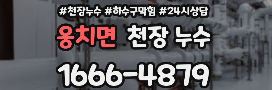 웅치면 천장 누수