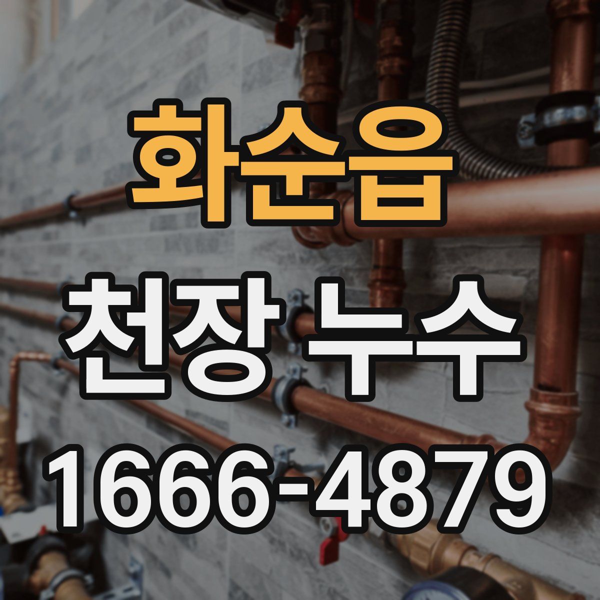 화순읍 천장 누수