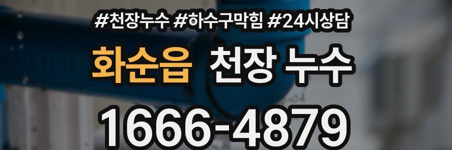 화순읍 천장 누수