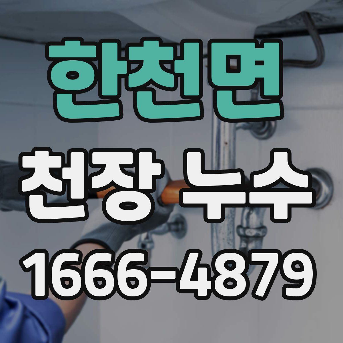 한천면 천장 누수