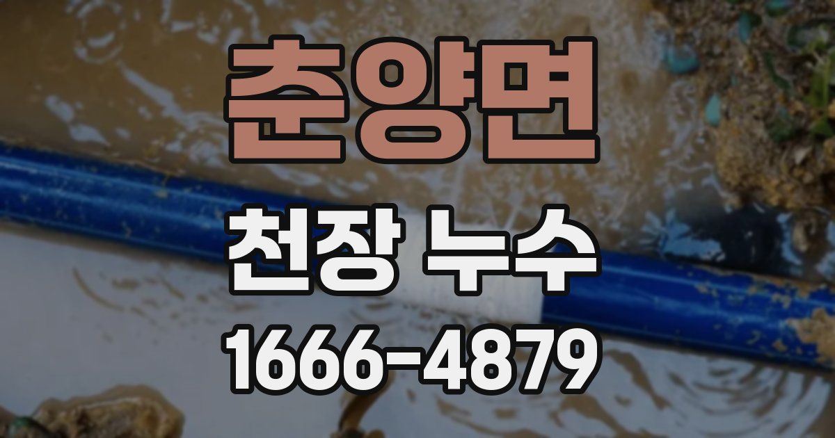 춘양면 천장 누수