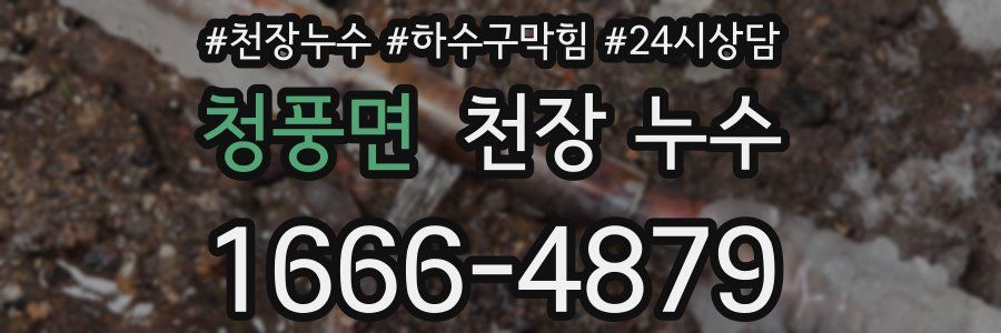 청풍면 천장 누수