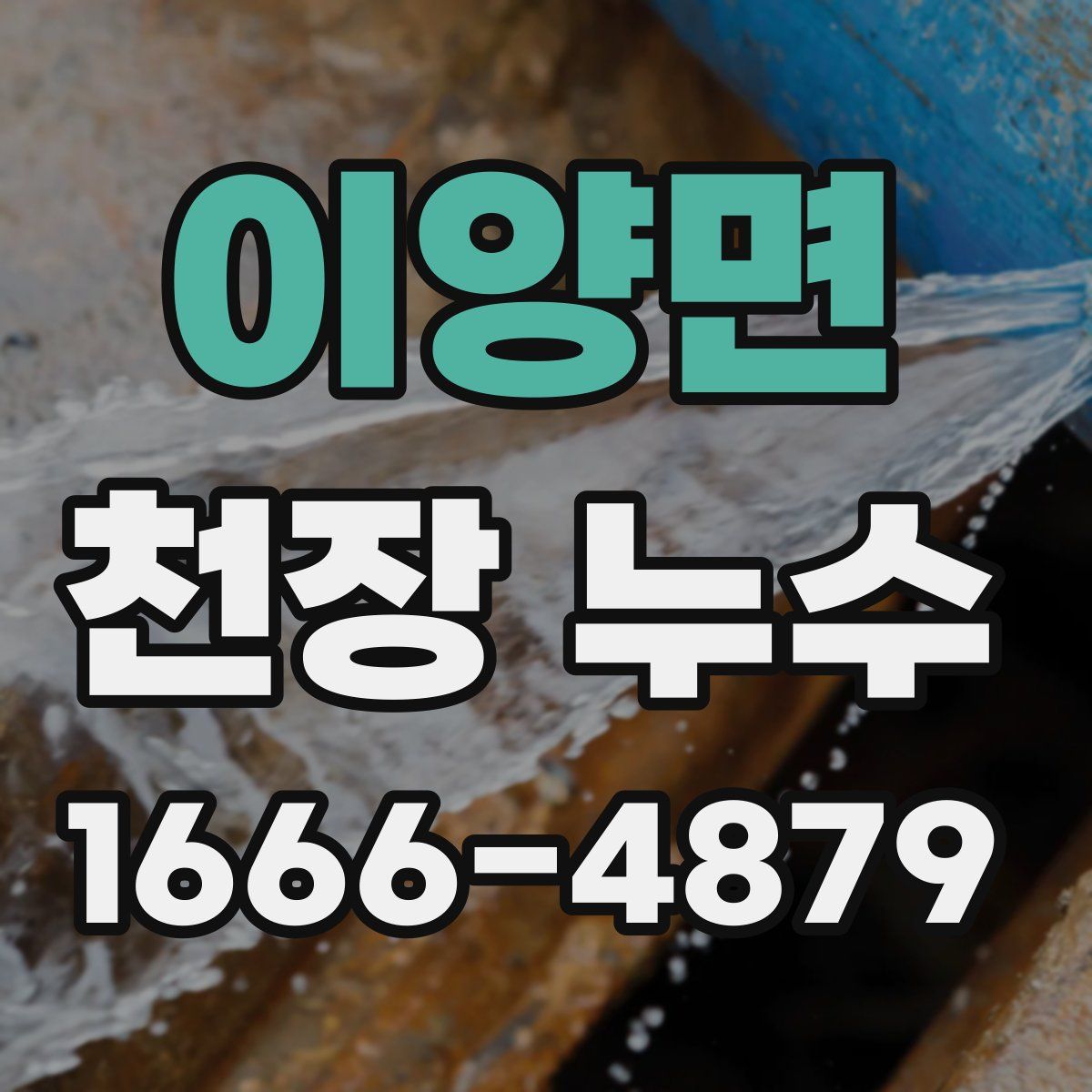 이양면 천장 누수