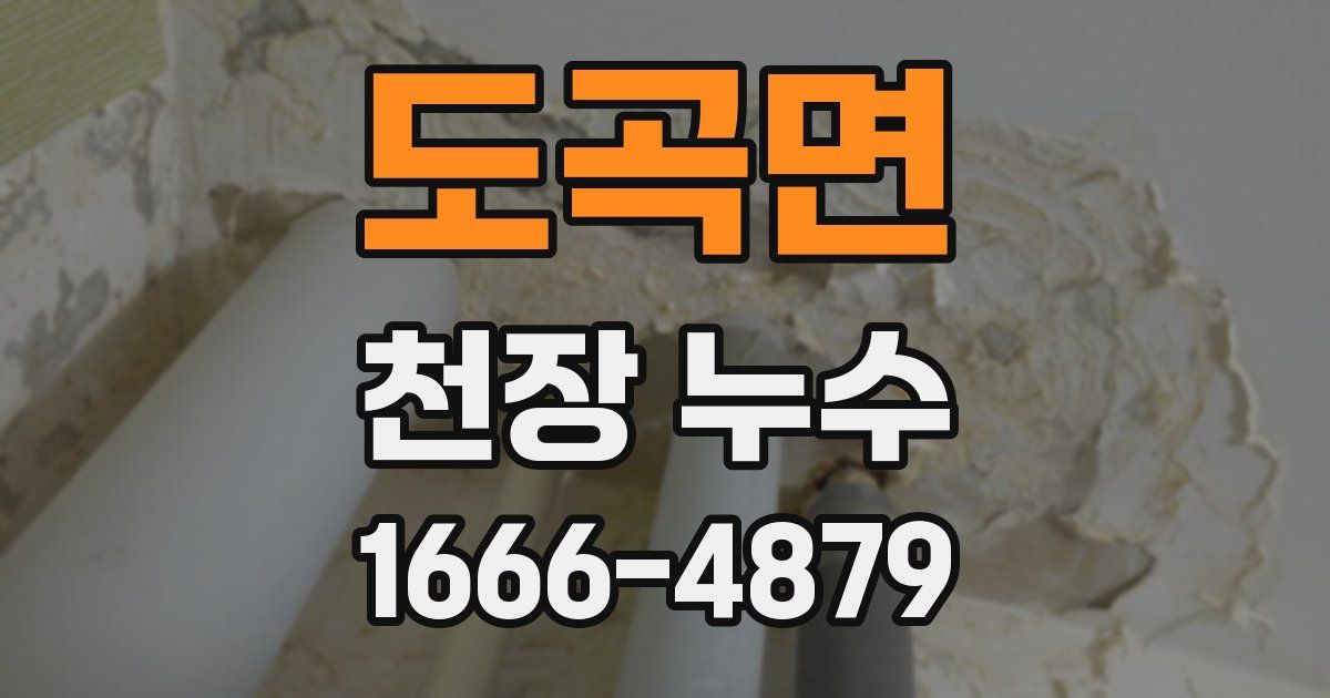 도곡면 천장 누수