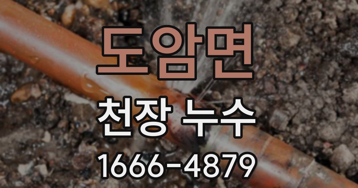 도암면 천장 누수
