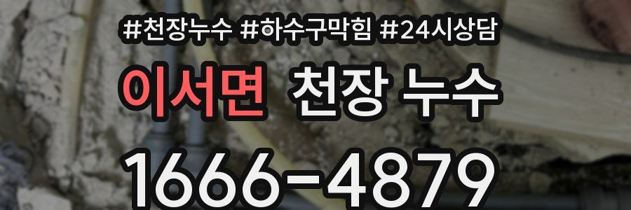 이서면 천장 누수