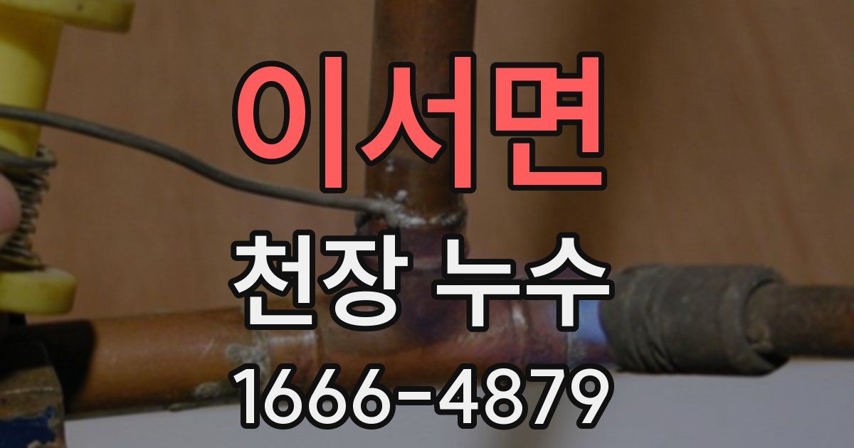 이서면 천장 누수