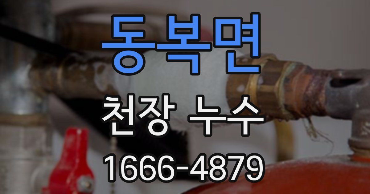 동복면 천장 누수