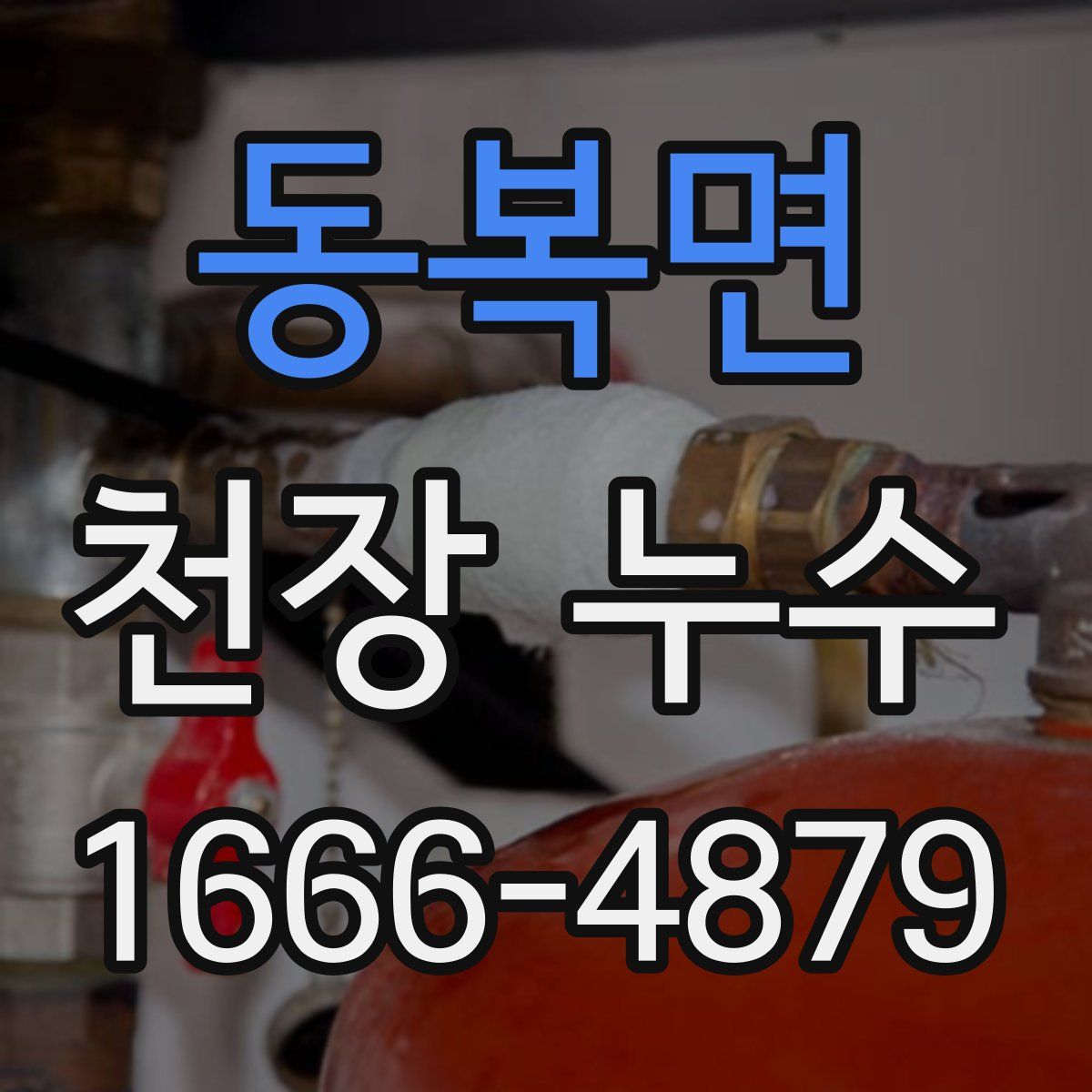 동복면 천장 누수