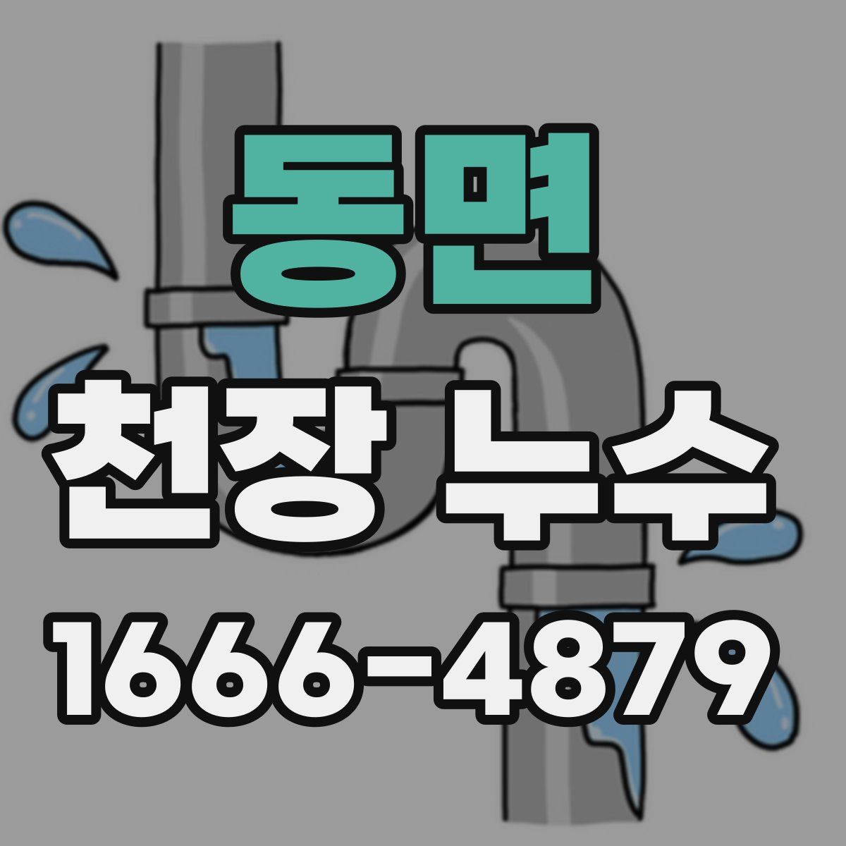 동면 천장 누수