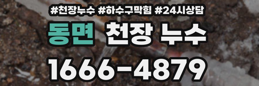 동면 천장 누수