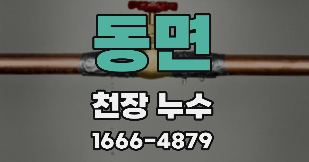 동면 천장 누수