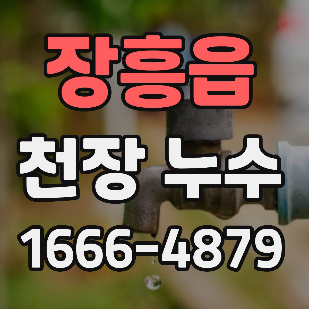 장흥읍 천장 누수