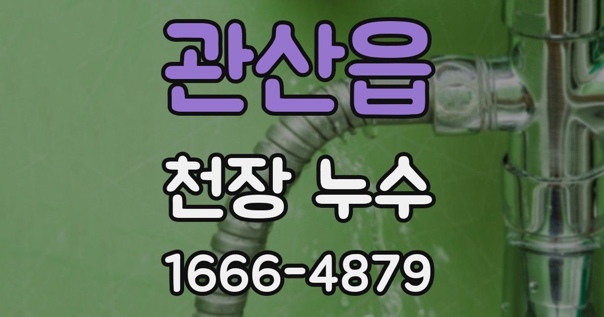 관산읍 천장 누수