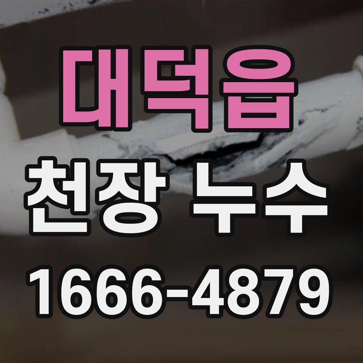 대덕읍 천장 누수