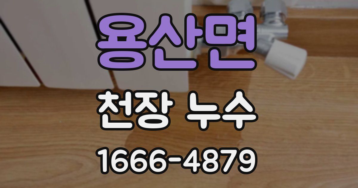 용산면 천장 누수