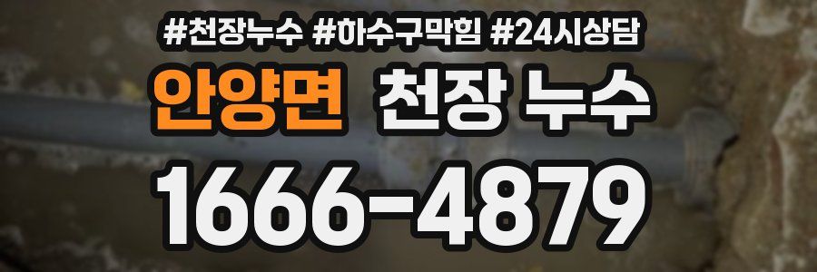 안양면 천장 누수